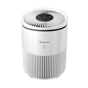 Воздухоочиститель Thermex Bora 139