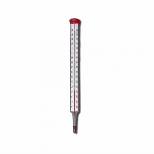 Термометр спиртовой стеклянный WATTS F+R804 (TV) - шкала 0-120 °C, длина 200 мм.